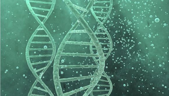 סמינר שבועי - המחלקה לחקר התא ולאימונולוגיה