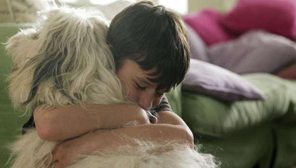 יום עיון: "בעלי חיים: היבטים פילוסופיים, פוליטיים ותרבותיים"