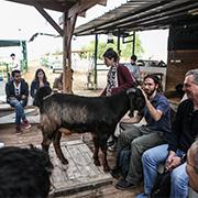 לוחמי הצדק שישחררו את בעלי החיים לוחמי הצדק שישחררו את בעלי החיים
