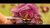 אוניברסיטת תל-אביב מאחלת חג פסח שמח ואביבי!